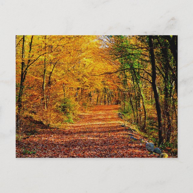 Herbst Postkarte (Vorderseite)