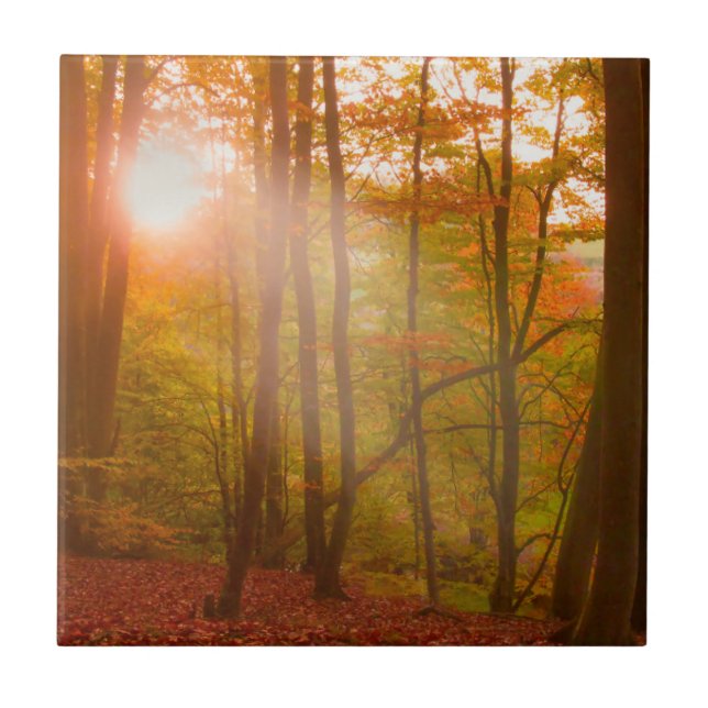 Herbst-Pracht Fliese (Vorderseite)