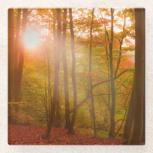Herbst-Pracht Glasuntersetzer (Vorderseite)