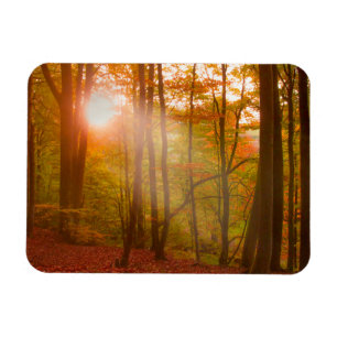 Herbst-Pracht Magnet