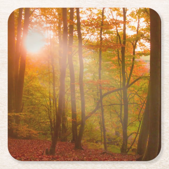 Herbst-Pracht Rechteckiger Pappuntersetzer (Vorderseite)