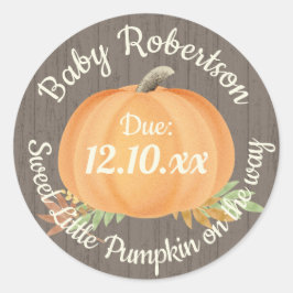 Herbst Pumpkin Baby Dusche Rustikale Runder Aufkleber