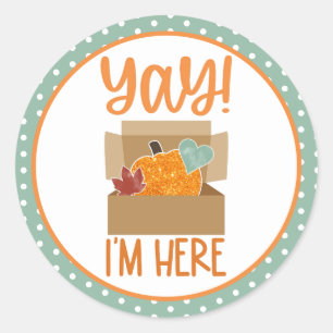 Herbst Pumpkins Kleine Unternehmen Stickers