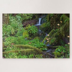 Herbst-Regenwald Olympic-Nationalpark