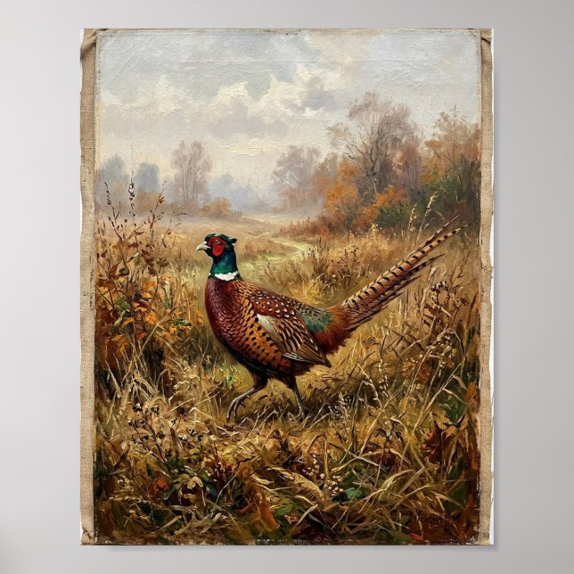 Herbst-Ringhalsfasan I Poster (Vorne)
