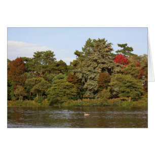Herbst, Roath Park Lake, Cardiff