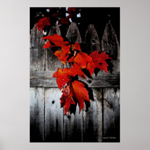 Herbst rot poster