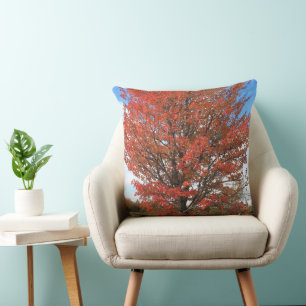 Herbst roter Ahornbaum gegen blauen Himmel Kissen