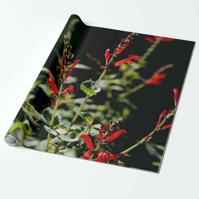 Herbst-rotes Geschenk Wraping Papier Geschenkpapier (Ungerollt)