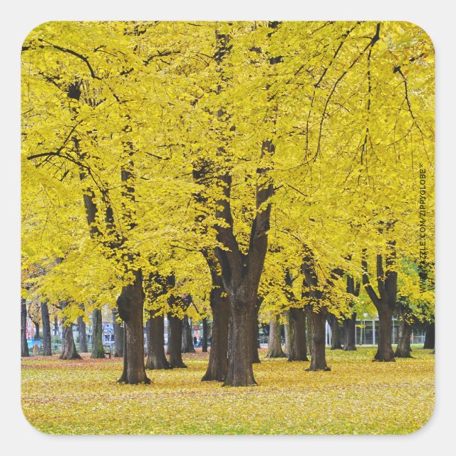 Herbst-Sticker Quadratischer Aufkleber (Vorderseite)