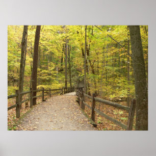 Herbst-Stille-Plakat Poster