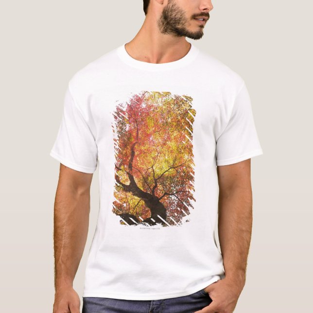 Herbst T-Shirt (Vorderseite)