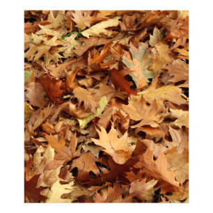 Herbst, trockene Blätter Fotodruck