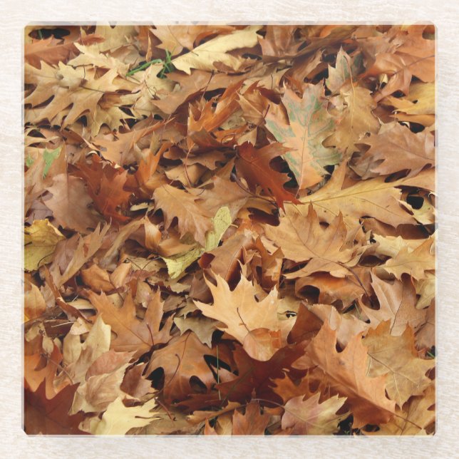 Herbst, trockene Blätter Glasuntersetzer (Vorderseite)