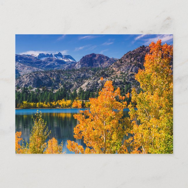 Herbst um Juni Lake, Kalifornien Postkarte (Vorderseite)