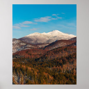 Herbst und Winter auf dem Berg Snežnik Poster