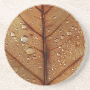 Herbst-Untersetzer Untersetzer