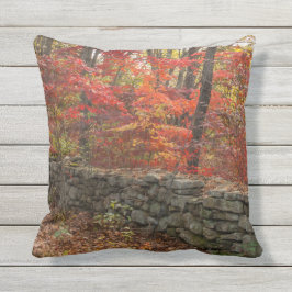 Herbst verlässt Bild - Herbstlaubthrow-Kissen Kissen