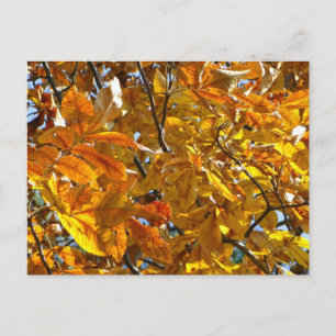 Herbst verlässt Gold Geschenke Apparell Sammlerstü Postkarte