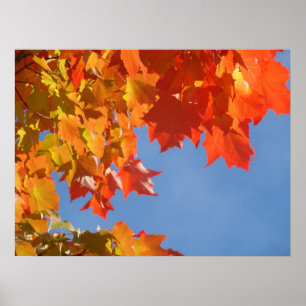 Herbst verlässt Plakaten Naturkunst pritns des Poster