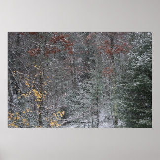 Herbst vor Winter Poster