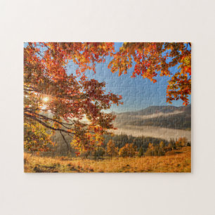 Herbst-Wald in den Bergen
