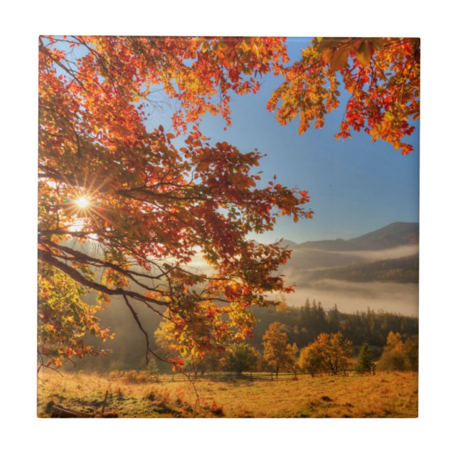 Herbst-Wald in den Bergen Fliese (Vorderseite)
