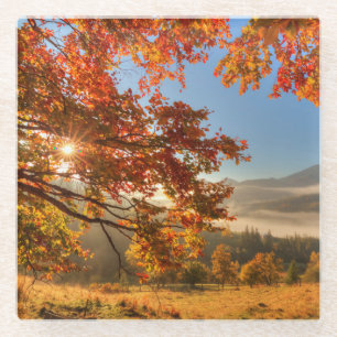 Herbst-Wald in den Bergen Glasuntersetzer