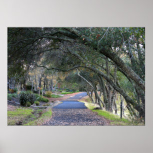 "Herbst-Weg " Poster