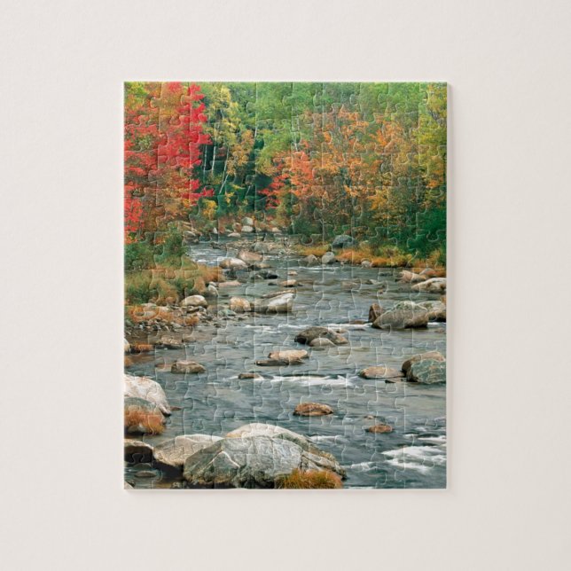 Herbst-weißes GebirgsNew Hampshire (Vertikal)