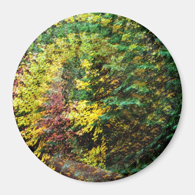 Herbst Whirlwind...... Magnet (Vorne)