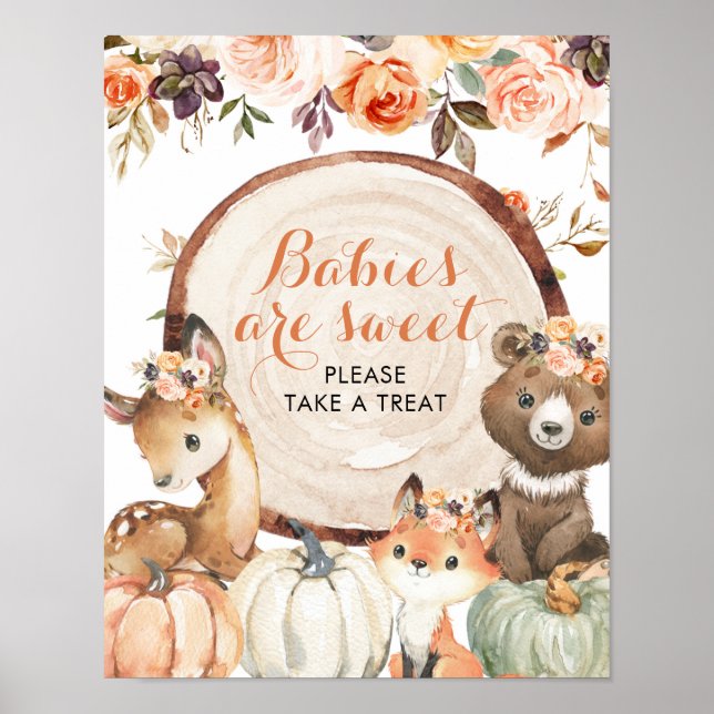 Herbst Woodland Girl Babies sind Sweet Baby Shoote Poster (Vorne)