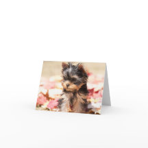 Herbst Yorkie Welpen-Anmerkungs-Karte