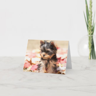 Herbst Yorkie Welpen-Anmerkungs-Karte Karte