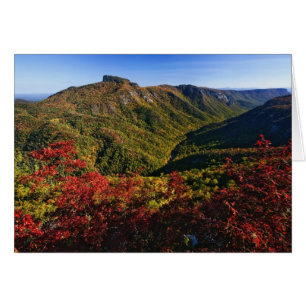 Herbstansicht der Linville Gorge, oft auch genannt