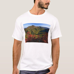 Herbstansicht der Linville Gorge, oft auch genannt T-Shirt