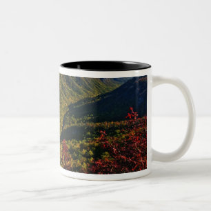 Herbstansicht der Linville Gorge, oft auch genannt Zweifarbige Tasse