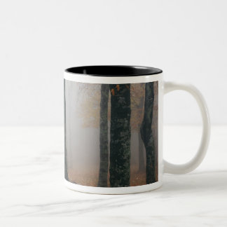 Herbstansicht des Nebelwaldes, Großvater 2 Zweifarbige Tasse