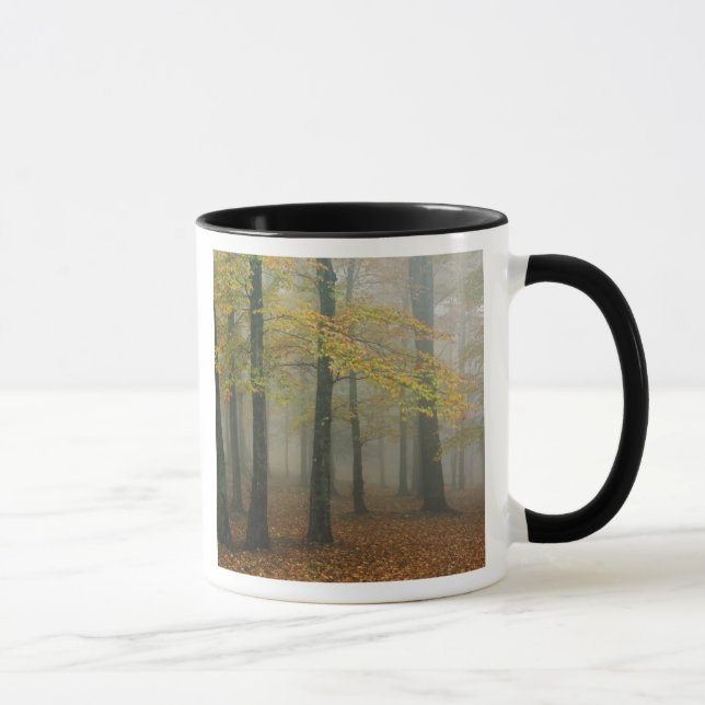Herbstansicht des Nebelwaldes, Großvater 3 Tasse (Rechts)