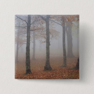 Herbstansicht des Nebelwaldes, Großvater Button