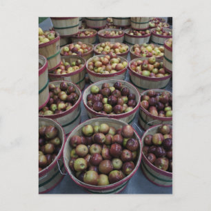 Herbstapfel Postkarte