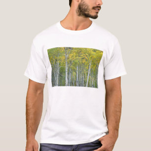 Herbstaspens im McClure-Pass in Colorado. T-Shirt