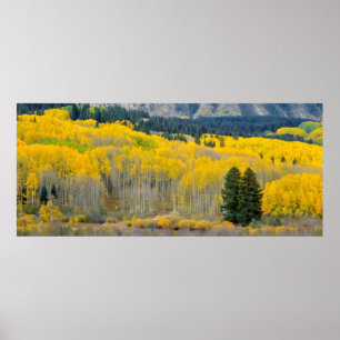Herbstaspens in der Ruby Range Poster
