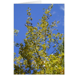 Herbstaspische Blätter II