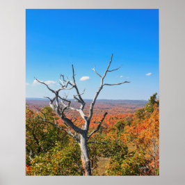 Herbstausblick auf dem Mount Bohemia Poster