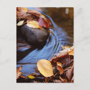 Herbstausgänge auf der Postkarte des Wasserfalls