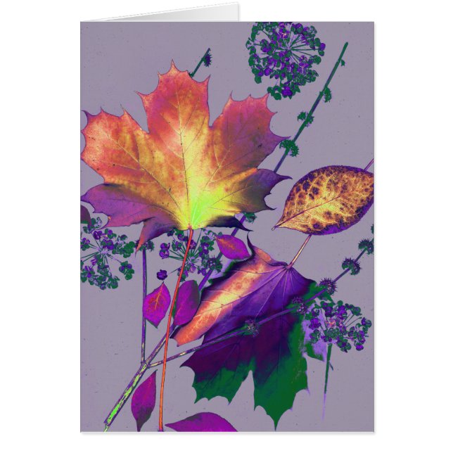 Herbstausgänge in Lilac (Vorne)