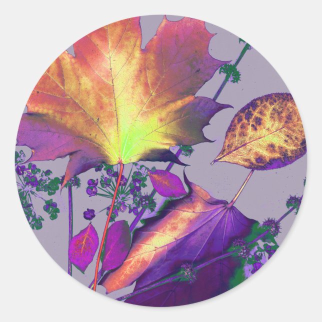 Herbstausgänge in Lilac Runder Aufkleber (Vorderseite)