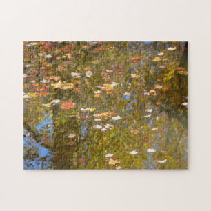 Herbstausstiege und Streams-Reflektion bei Greenbe