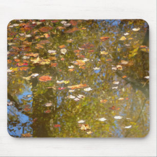 Herbstausstiege und Streams-Reflektion bei Greenbe Mousepad